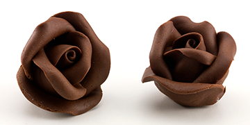 Delícias de Chocolate: Aprenda a Modelar Rosas